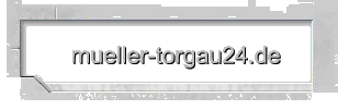 mueller-torgau24.de